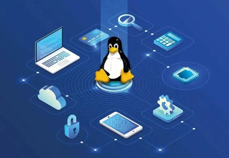 Linux Cpanel Reseller Hosting